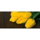 Photo mural bouquet from yellow tulips on wooden background Photo mural bouquet from yellow tulips on wooden background