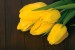Photo mural bouquet from yellow tulips on wooden background