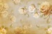 Wall murals painted roses vintage model