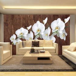 Wall mural orchid branch on wooden background 3 Wall mural orchid branch on wooden background 3