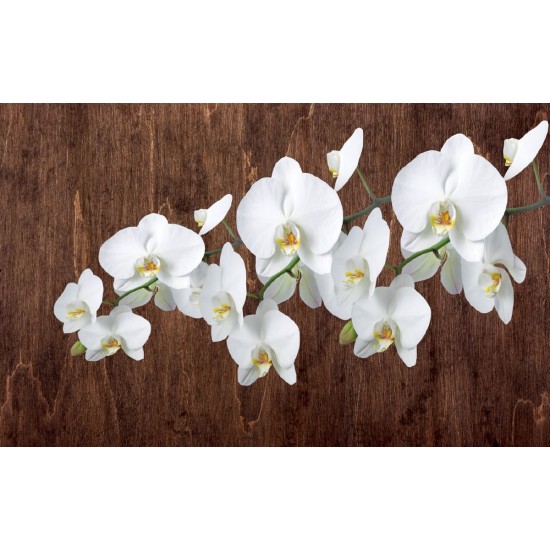 Wall mural orchid branch on wooden background 3