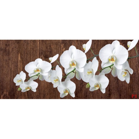 Wall mural orchid branch on wooden background 3