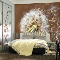 Wall mural big dandelion on brown background Wall mural big dandelion on brown background