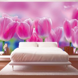 Wallpapers mural beautiful pink tulips