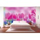 Wallpapers mural beautiful pink tulips Wallpapers mural beautiful pink tulips