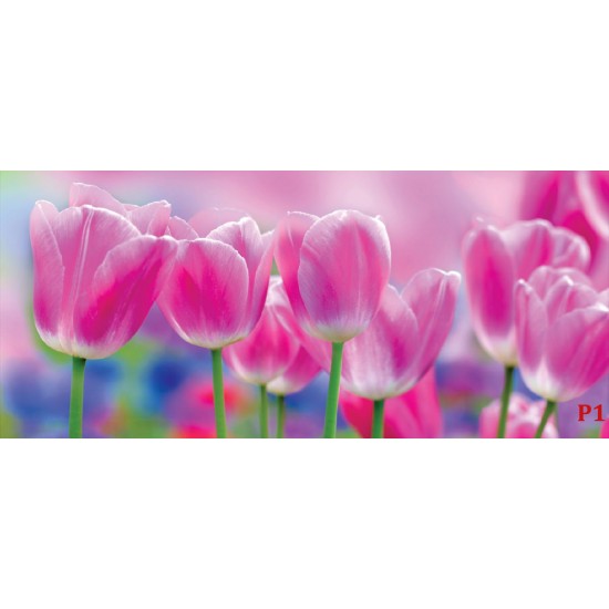 Wallpapers mural beautiful pink tulips Wallpapers mural beautiful pink tulips