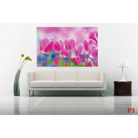 Wallpapers mural beautiful pink tulips Wallpapers mural beautiful pink tulips