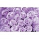 Wall murals bouquet of pink and purple roses in 2 colors Wall murals bouquet of pink and purple roses in 2 colors