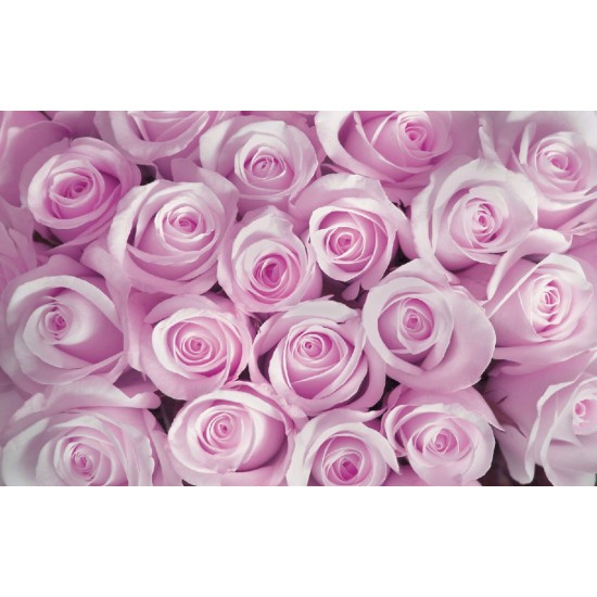 Wall murals bouquet of pink and purple roses in 2 colors Wall murals bouquet of pink and purple roses in 2 colors