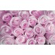 Wall murals bouquet of pink and purple roses in 2 colors Wall murals bouquet of pink and purple roses in 2 colors