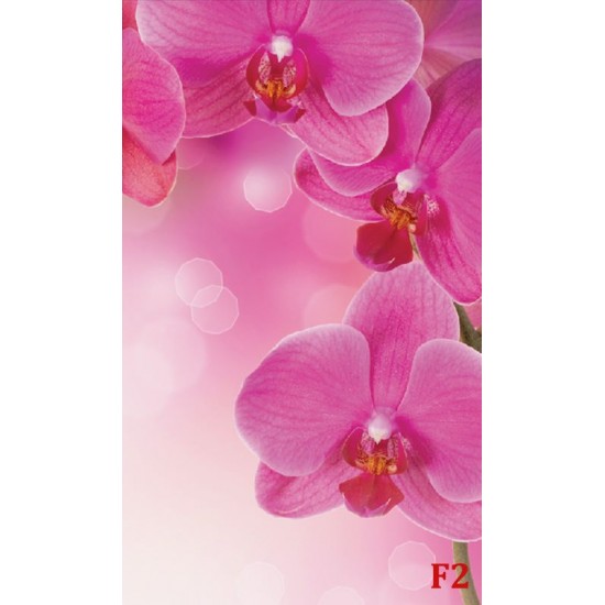 Wall murals wonderful orchids 
