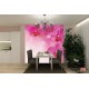 Wall murals wonderful orchids 