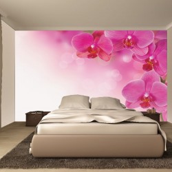 Wall murals wonderful orchids Wall murals wonderful orchids