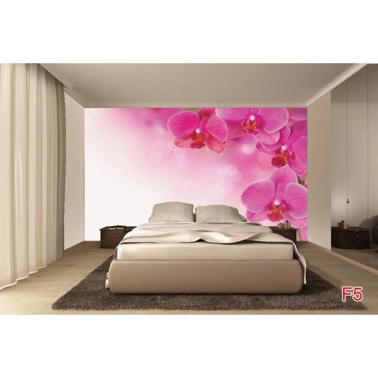 Wall murals wonderful orchids 
