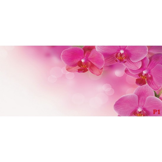 Wall murals wonderful orchids 