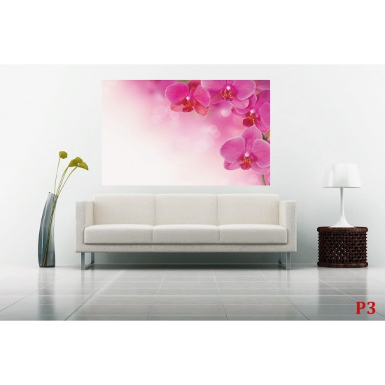 Wall murals wonderful orchids 
