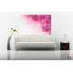 Wall murals wonderful orchids 