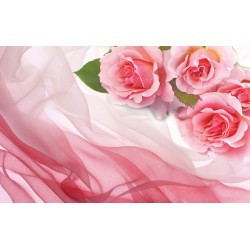 Wall mural pink roses on silk Wall mural pink roses on silk
