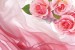 Wall mural pink roses on silk
