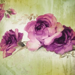 Wall murals painted composition with purple roses on background in 2 colors Wall murals painted composition with purple roses on background in 2 colors