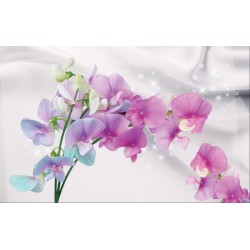 Wall murals branch colorful orchids delicate silk background