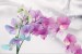 Wall murals branch colorful orchids delicate silk background