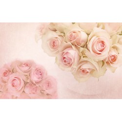 Wallpapers light pink roses with ornaments