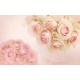 Wallpapers light pink roses with ornaments Wallpapers light pink roses with ornaments