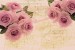 Wallpapers pink roses vintige style with notes