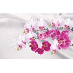 Wallpaper twigs white and pink orchids background silk