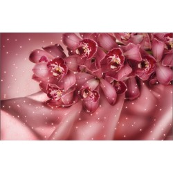 Wallpapers dark coral orchid with lights