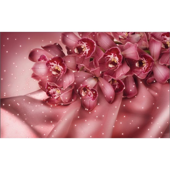 Wallpapers dark coral orchid with lights Wallpapers dark coral orchid with lights