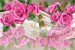 Wall murals painted pink roses a mirror image