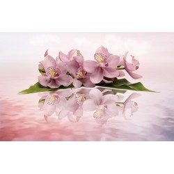 Wall murals pastel composition with orchid twig in two variants