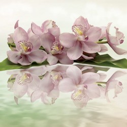 Wall murals pastel composition with orchid twig in two variants Wall murals pastel composition with orchid twig in two variants