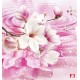 Wallpapers pink composition water reflection with lily Wallpapers pink composition water reflection with lily