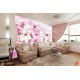 Wallpapers pink composition water reflection with lily Wallpapers pink composition water reflection with lily