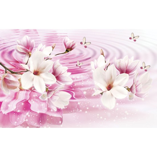Wallpapers pink composition water reflection with lily Wallpapers pink composition water reflection with lily