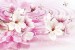 Wallpapers pink composition water reflection with lily