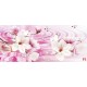 Wallpapers pink composition water reflection with lily Wallpapers pink composition water reflection with lily