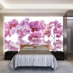 Photo murals mix of different orchid twigs with water reflection
