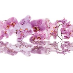 Photo murals mix of different orchid twigs with water reflection