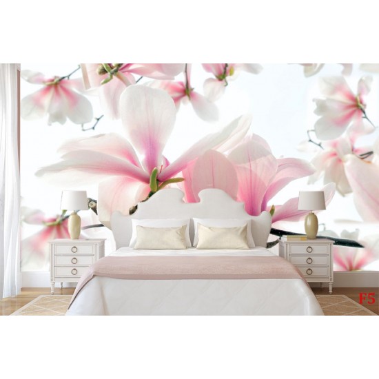Wallpapers mural magnolia blooming in soft pink colour Wallpapers mural magnolia blooming in soft pink colour