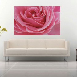 Wallpapers mural big pink rose Wallpapers mural big pink rose