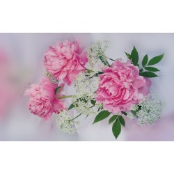 Wall murals pink flowers in pastel colours