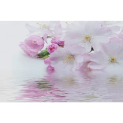 Wallpapers mural gentle spring blossom with water reflection
