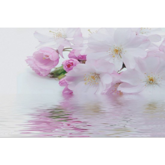 Wallpapers mural gentle spring blossom with water reflection