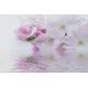 Wallpapers mural gentle spring blossom with water reflection