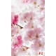 Wallpapers mural spring pink color Wallpapers mural spring pink color