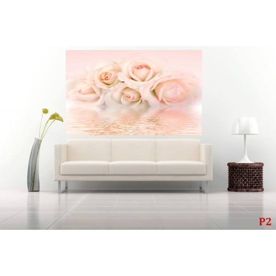 Wallpapers mural gentle roses in pastel colour